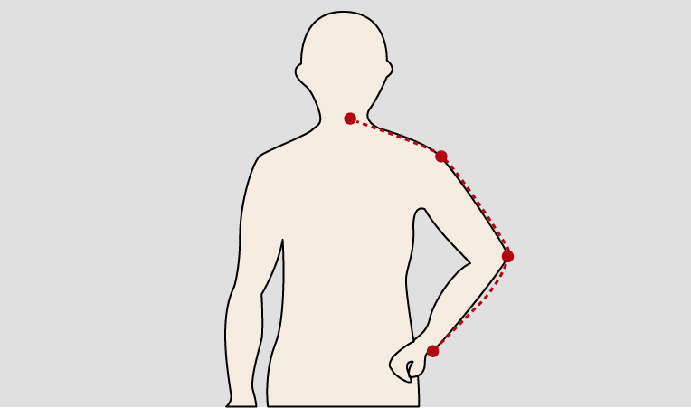 Brazos / longitud de la manga
